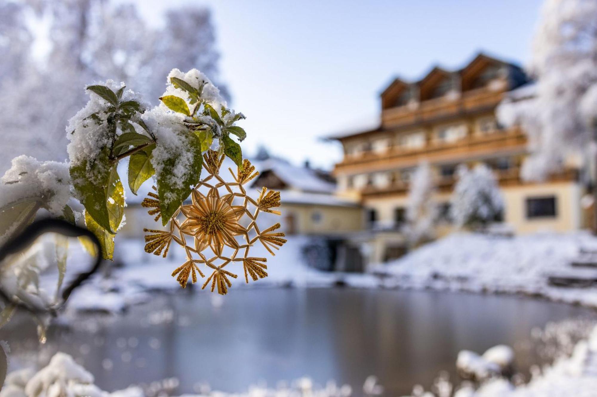 Hotel Garni Kranzbichlhof Дюрнбирг Экстерьер фото